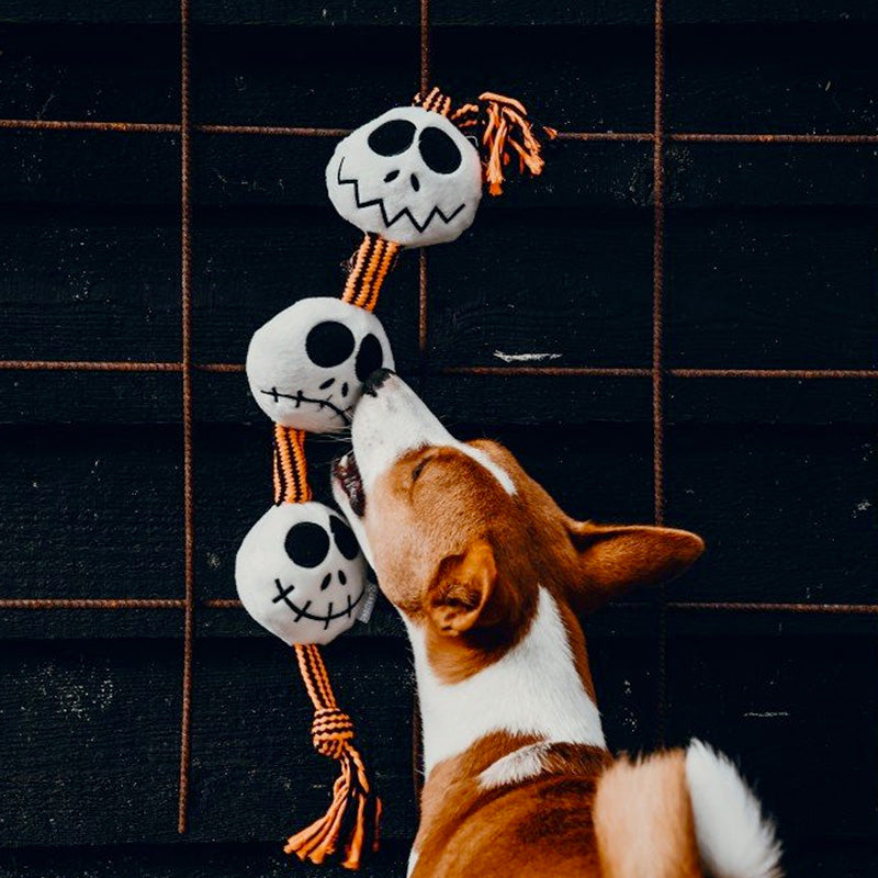 Halloween Hundespielzeug Fußball Mit Riemen – Interaktiv Für Tauziehen, Mittelgroße & Große Hunde