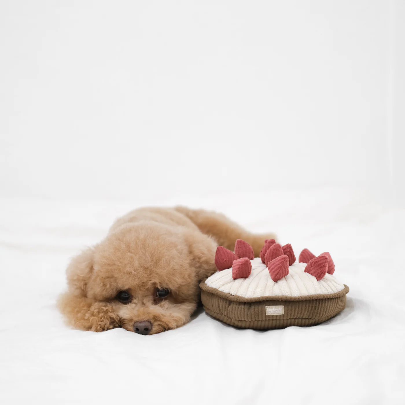 Lambwolf Collective - BERRY PIE (20 cm)