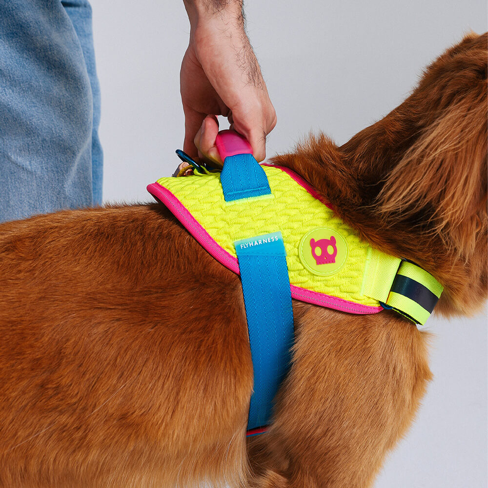 Zee.Dog - Fly-harnas CMYK