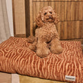 DOGGUO - Ethnic hondenmand - Beige/Brown