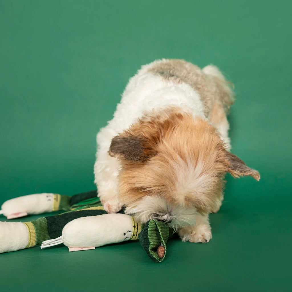 The Furryfolks - Green Onion (23 cm)