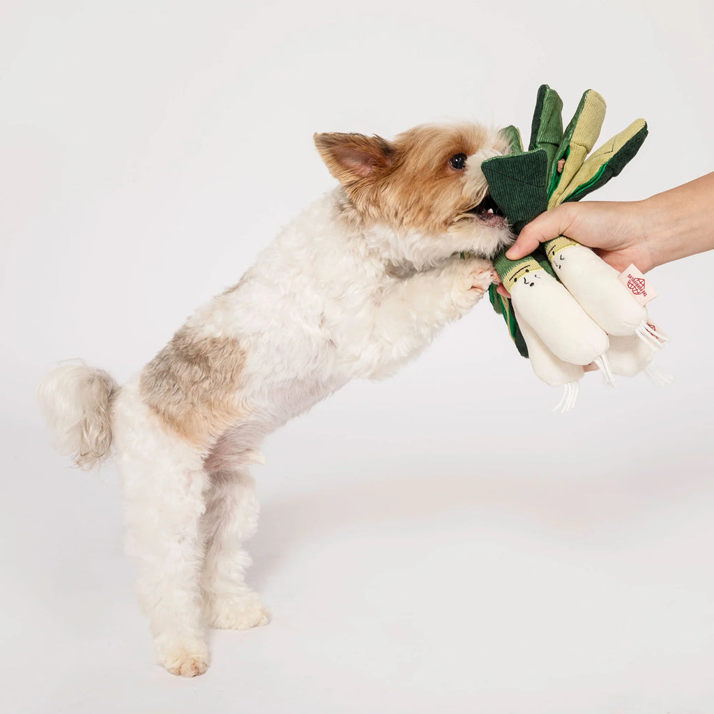 The Furryfolks - Green Onion (23 cm)