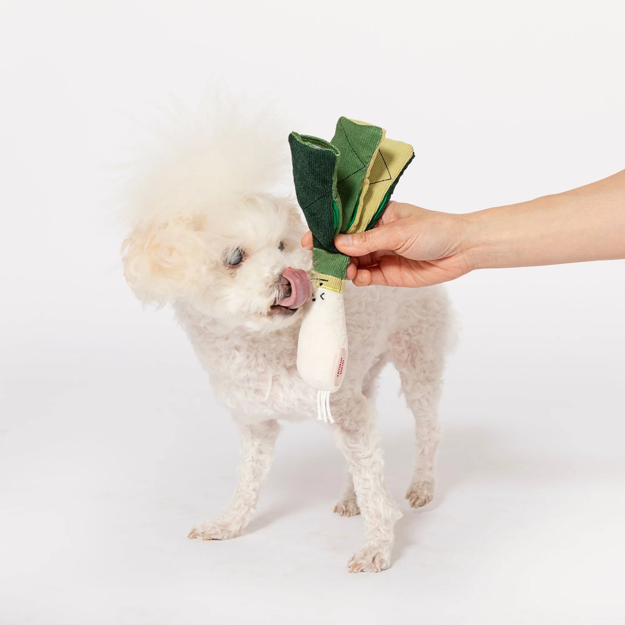 The Furryfolks - Green Onion (23 cm)