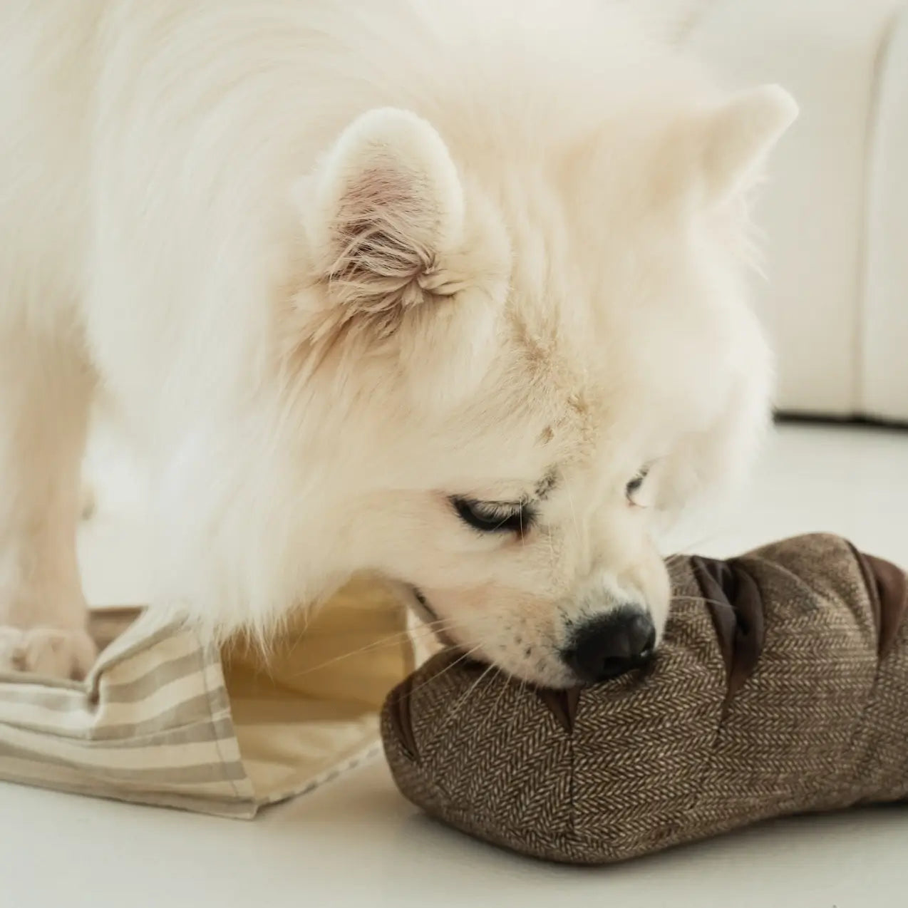 Lambwolf Collective - RYE (20 cm)