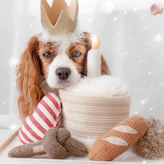 Lambwolf Collective - Birthday Cake