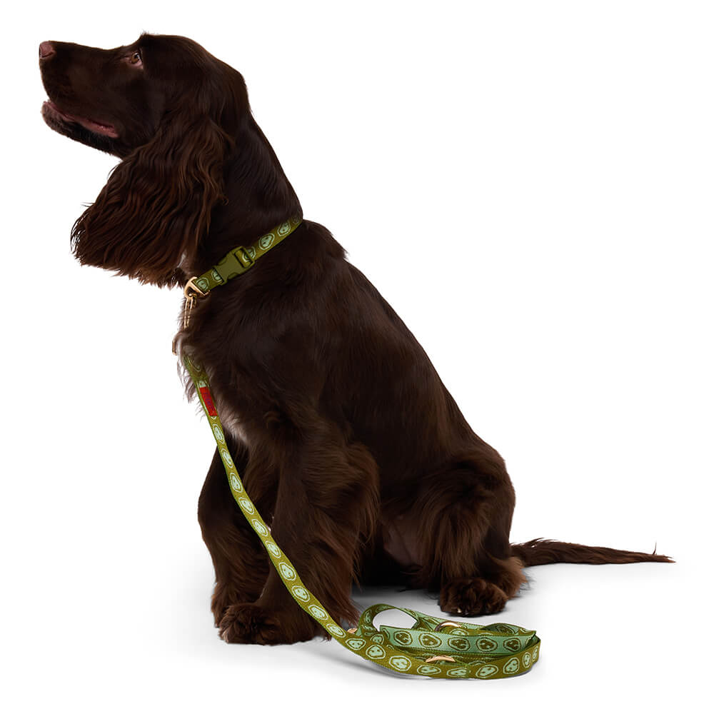Furmey - Handsfree leash Matcha Green