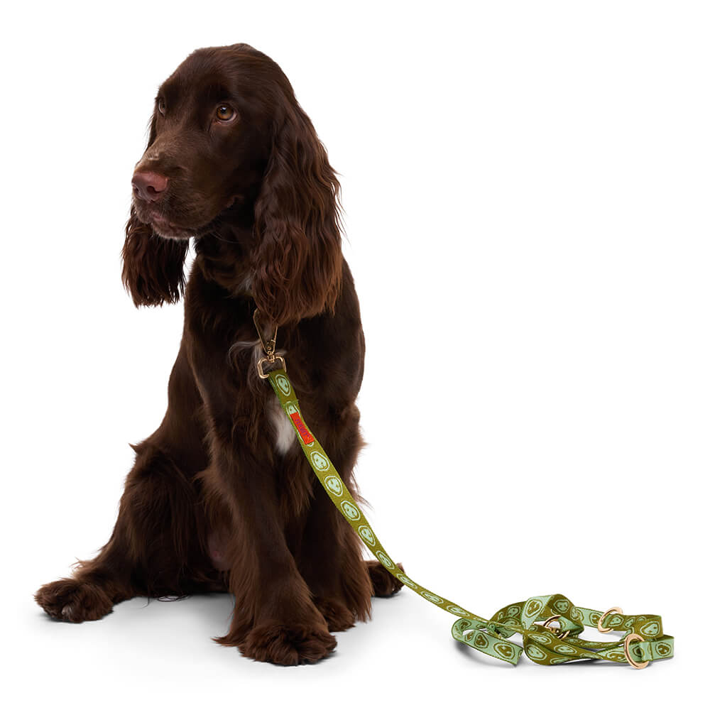 Furmey - Handsfree leash Matcha Green