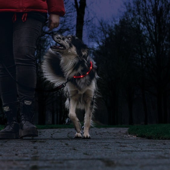 Beeztees - Safety Gear Dogini - Rood