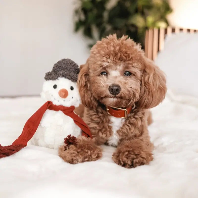 Lambwolf Collective - SNOWMAN (20 cm)