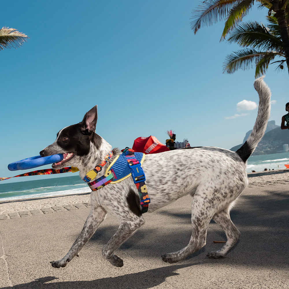 Zee.Dog - Farm Rio Flower - Blue
