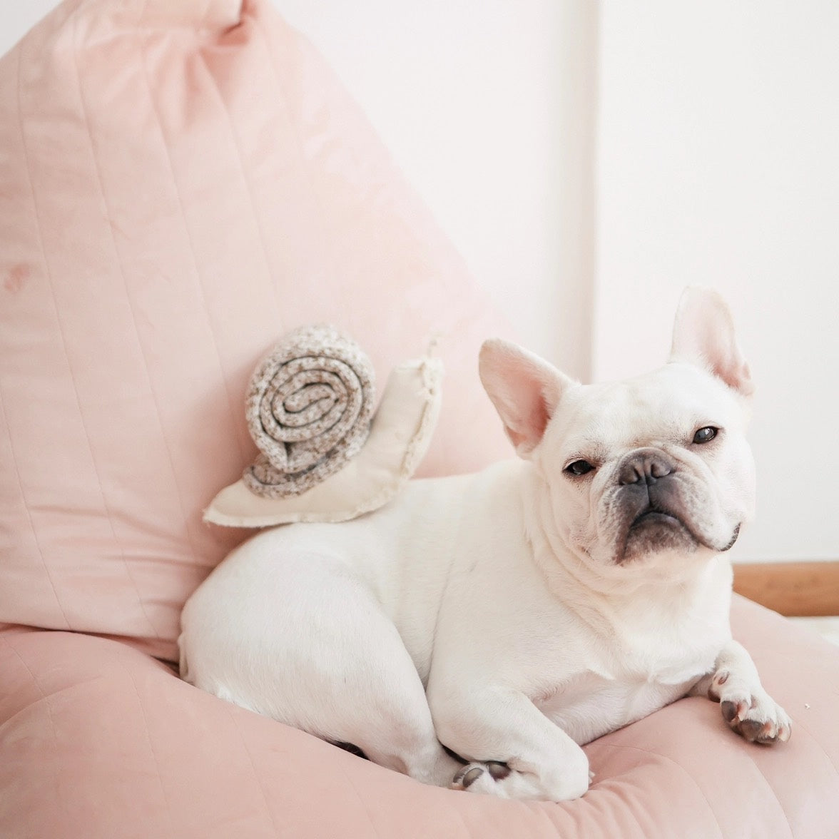  Lambwolf Collective - SNAIL