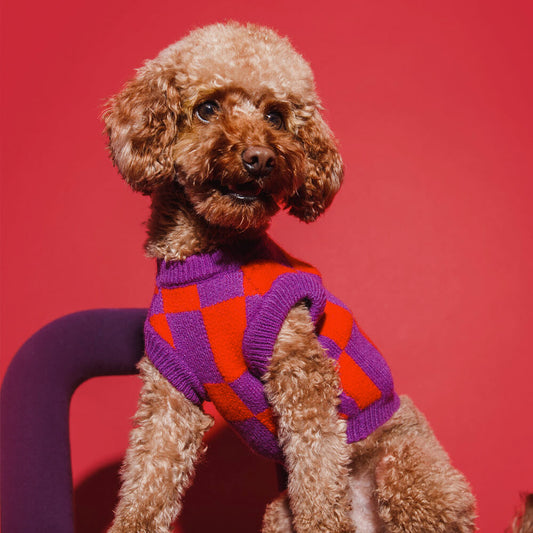 Block Dog Sweater - Purple / Red