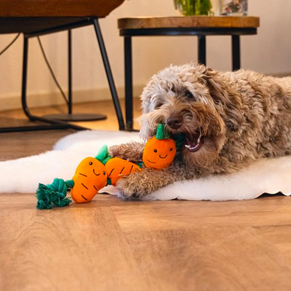 Beeztees - Paas Flostouw Wortel (38 cm)