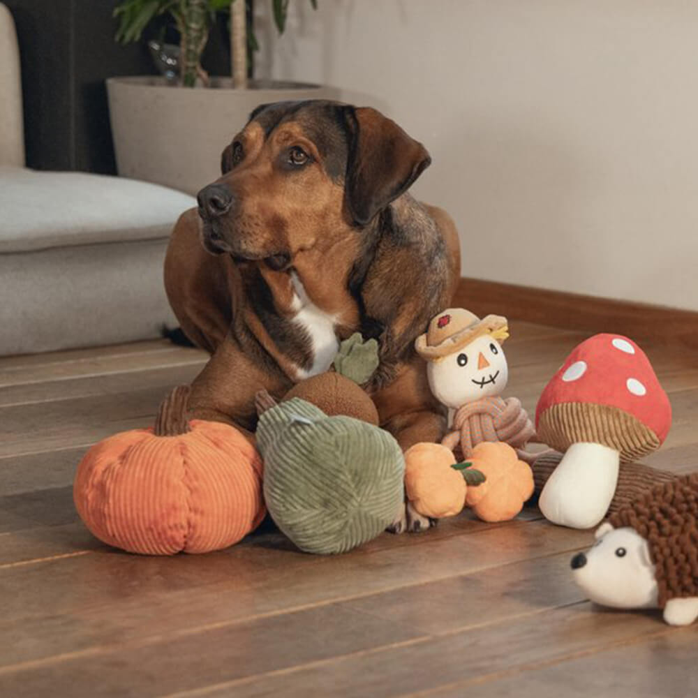 Beeztees - Pompoen Koba (18 cm)