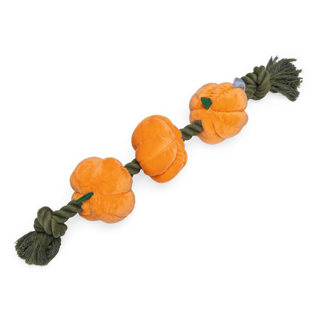 Beeztees - Touw met Pompoenen (40 cm)