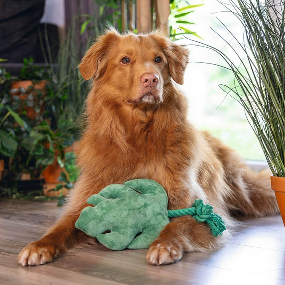 Beeztees - Jungle Blad (33 cm)