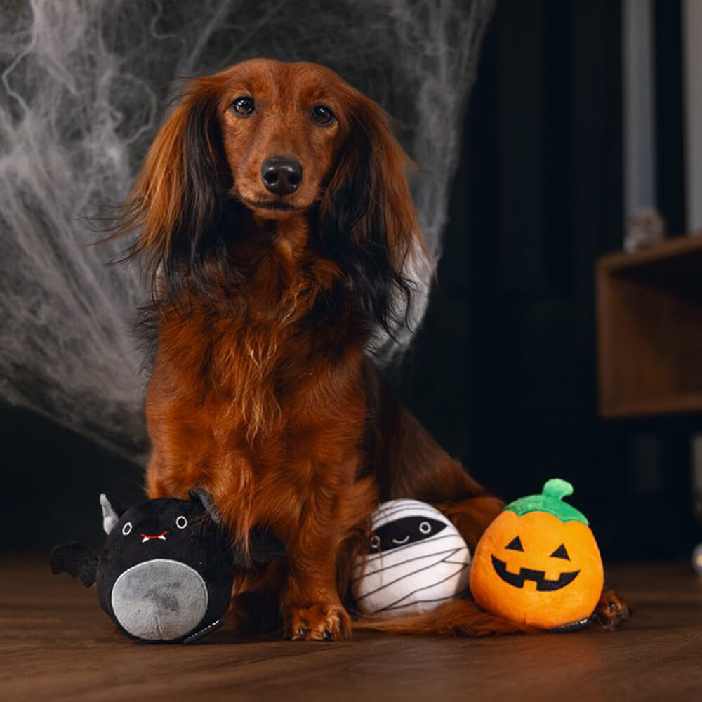 Beeztees - Halloween Trick or Treat - Vleermuis (10 cm)