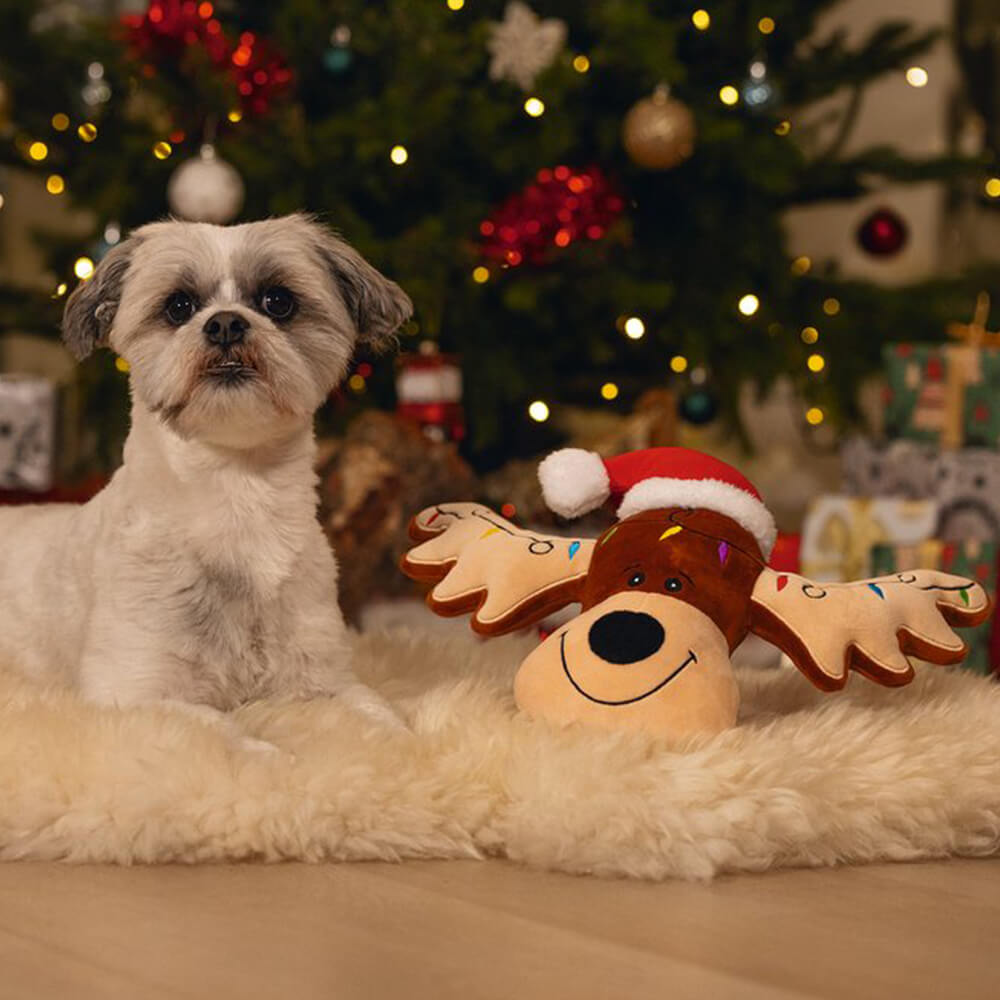 Beeztees - Kerstknuffel Rudolf (36 cm)