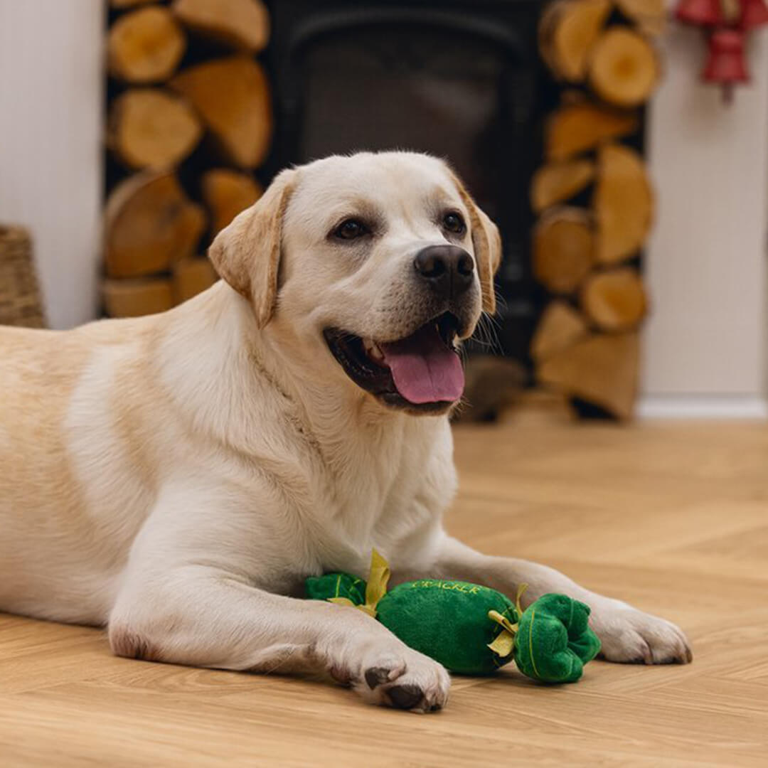 Beeztees - Kerstsnoepje (25 cm)