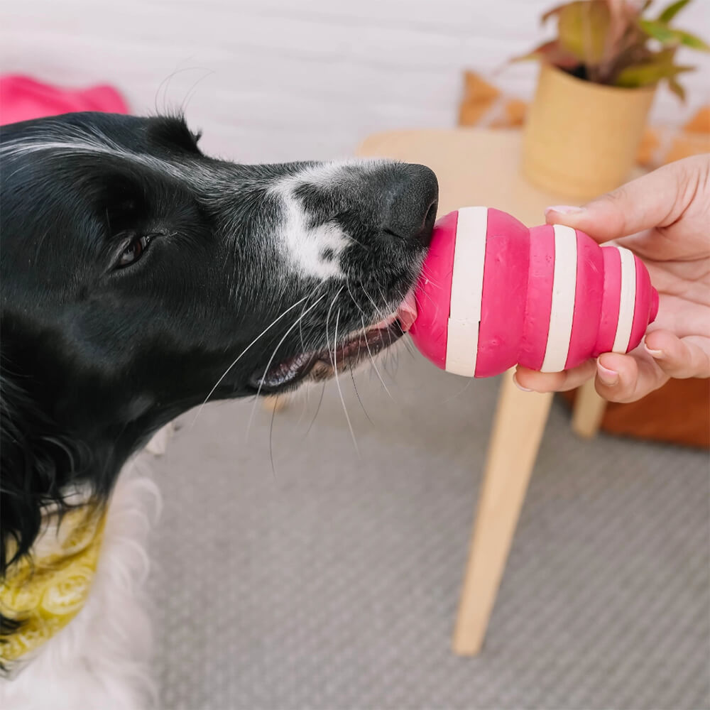 Babelle - Bubble dog Feeder - Lick Toy