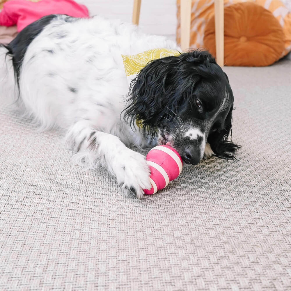 Babelle - Bubble dog Feeder - Lick Toy