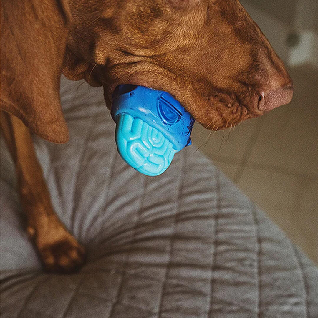Zee.Dog Brainies Brain Freeze (10cm)