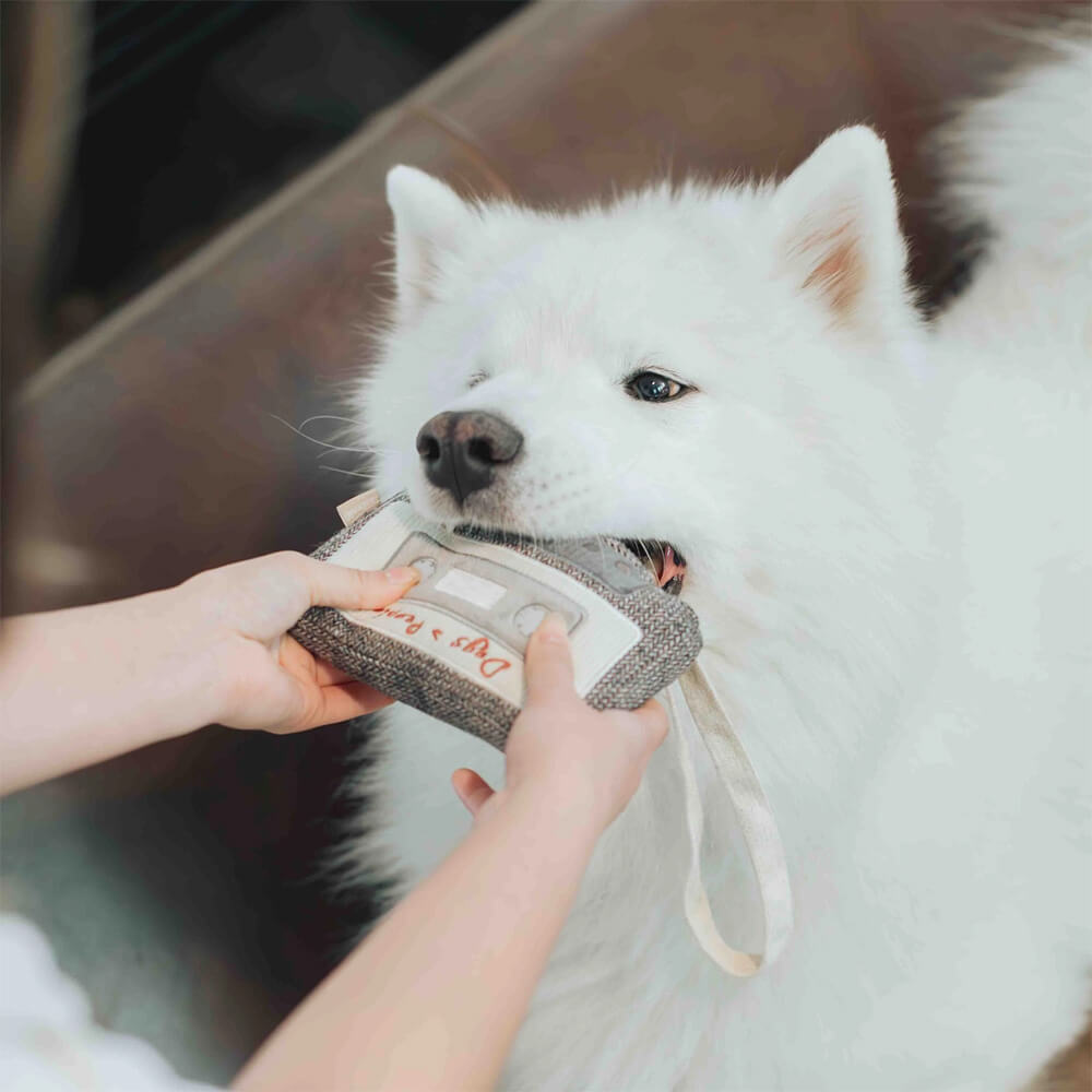 Lambwolf Collective - CASSETTE (15 cm)