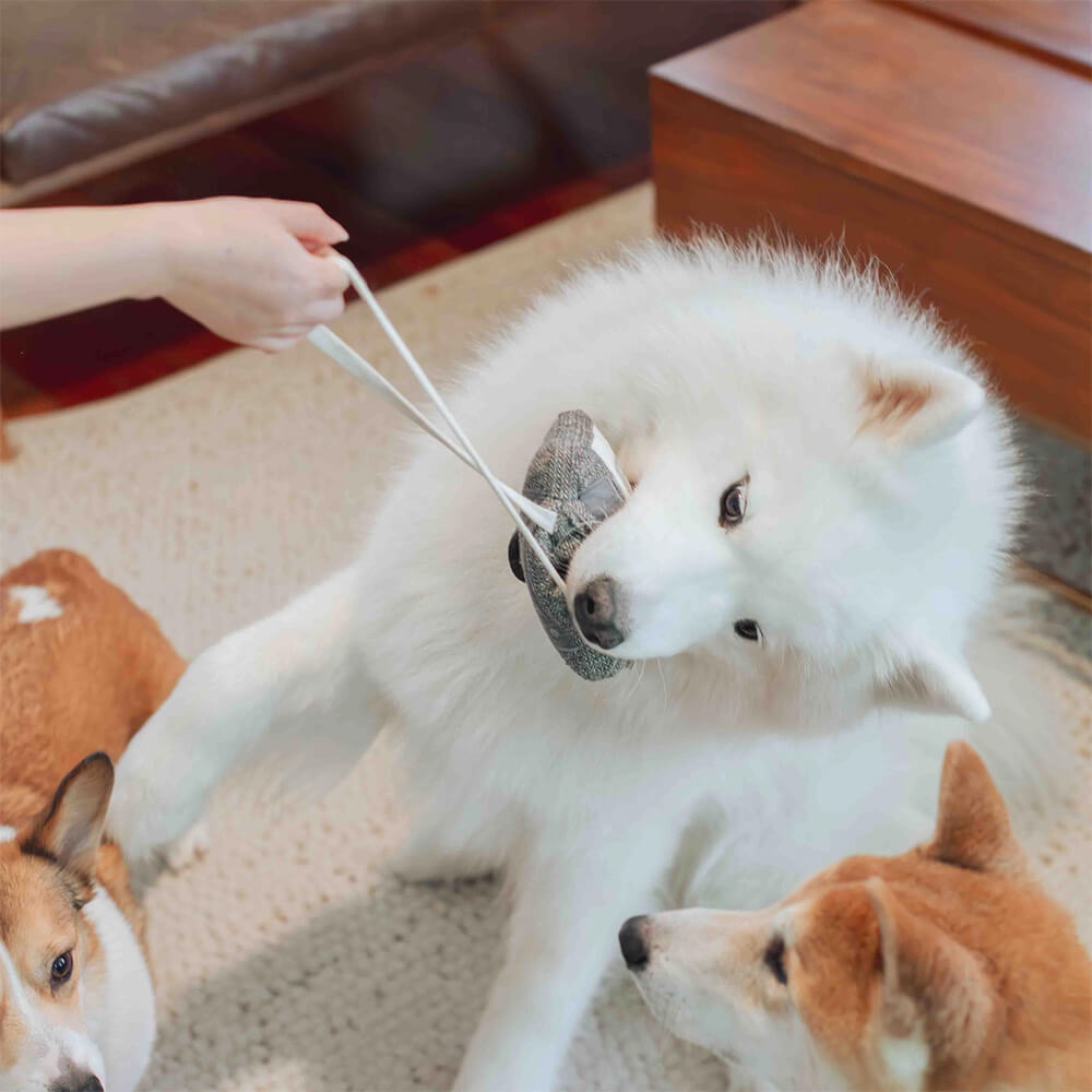 Lambwolf Collective - CASSETTE (15 cm)