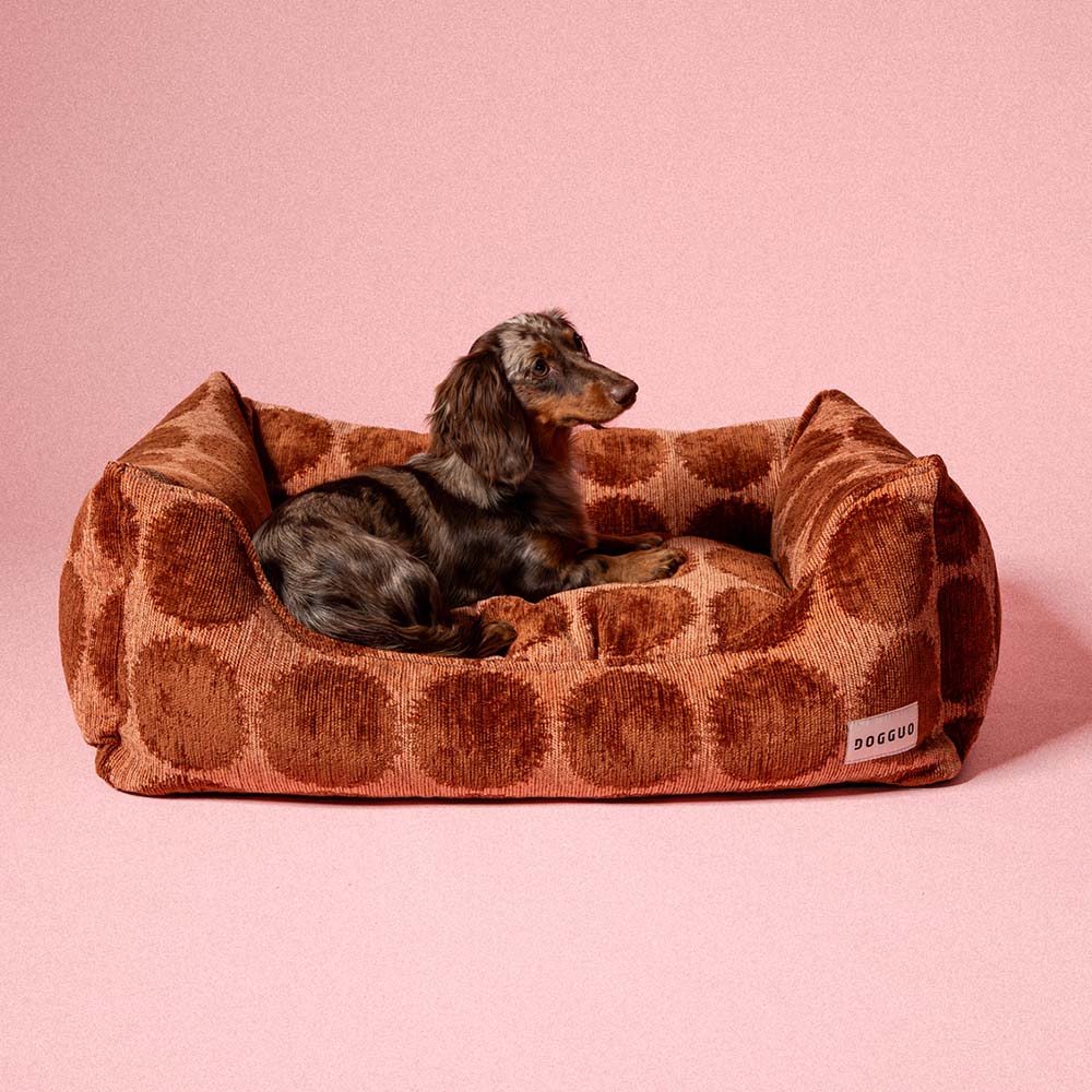 DOGGUO - Dot Dog Sofa - Mocha/Brown