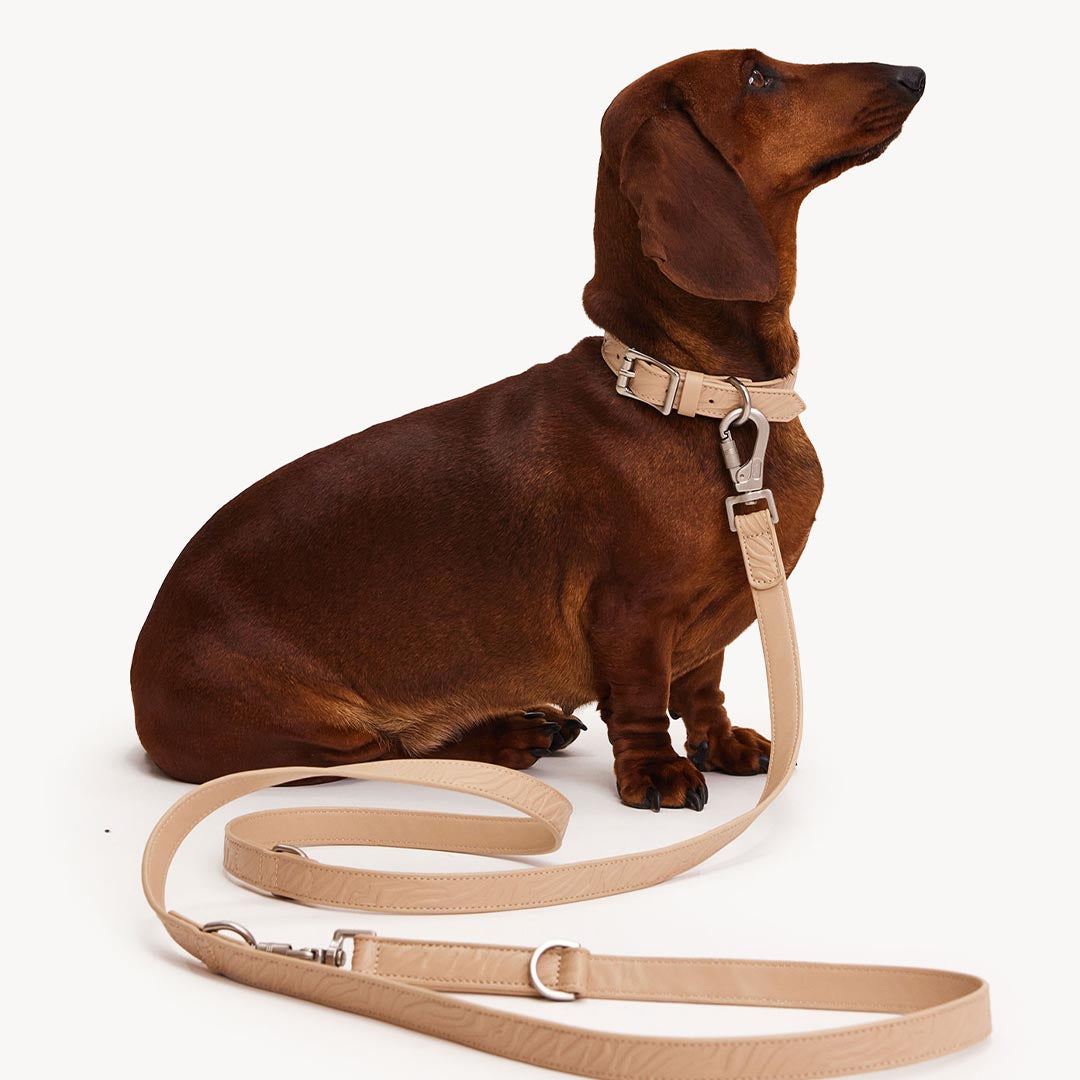 DOGGUO - Vegan Leather Leash - Zebra - Beige