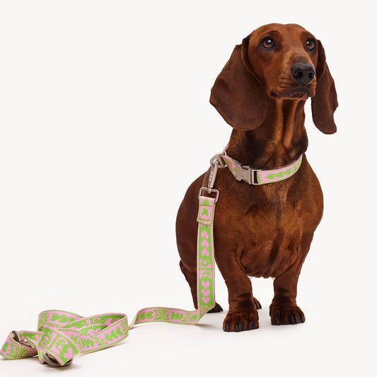 DOGGUO - DL Leash - Green / Pink