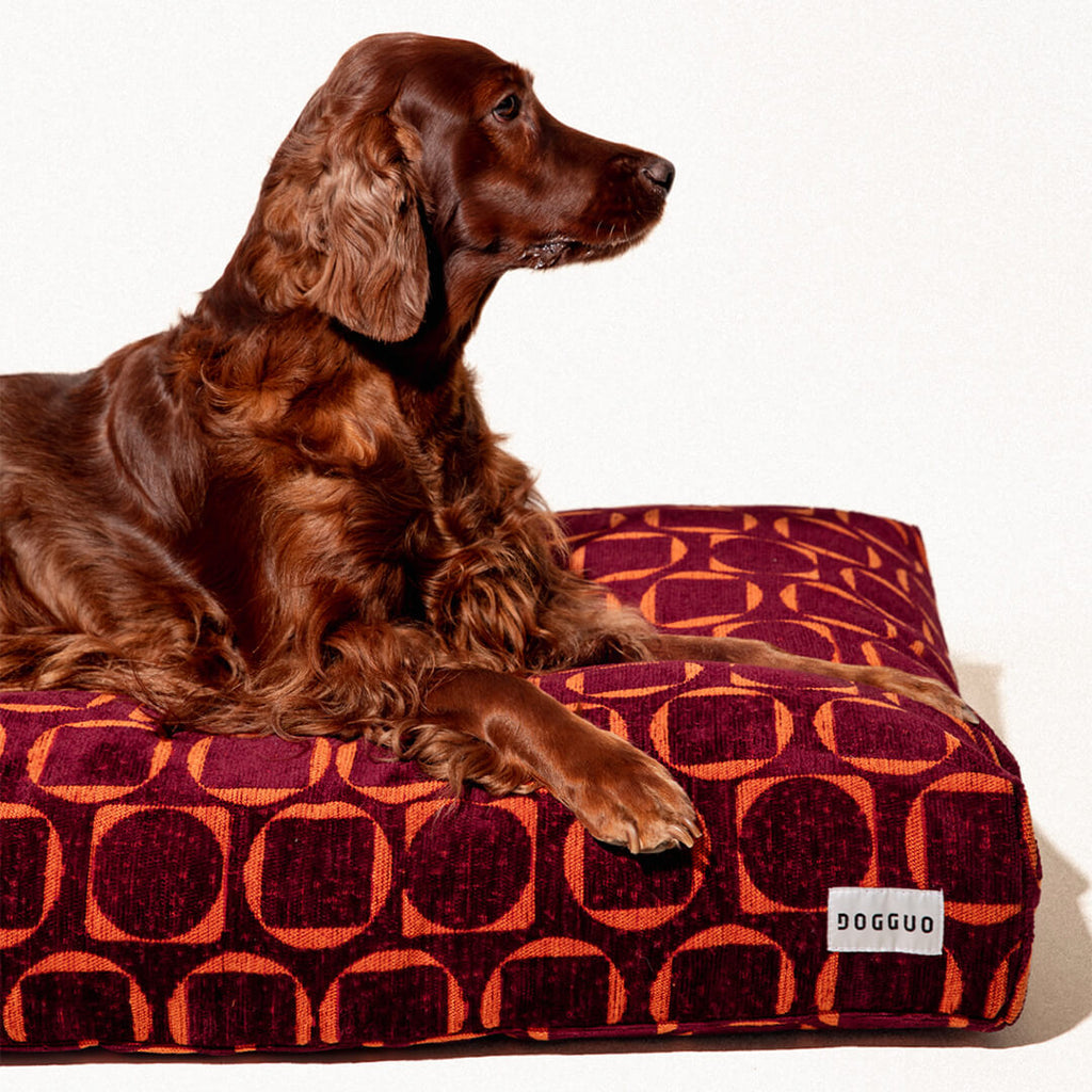 DOGGUO - Retro hondenmand - Bordeaux/Oranje