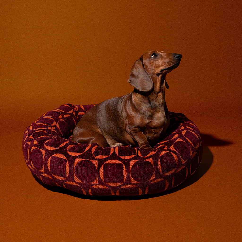 DOGGUO - Retro ronde hondenmand - Bordeaux/Oranje