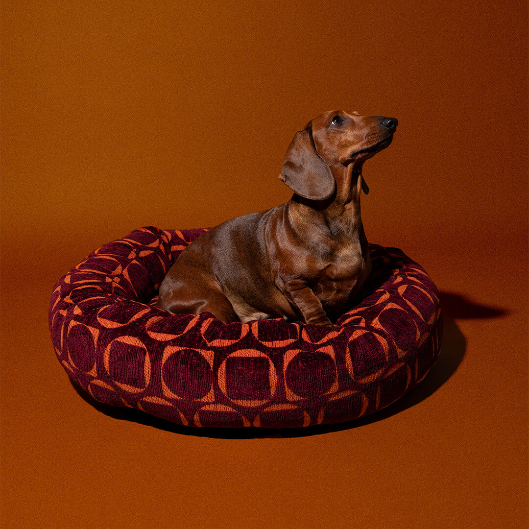 DOGGUO - Retro ronde hondenmand - Bordeaux/Oranje