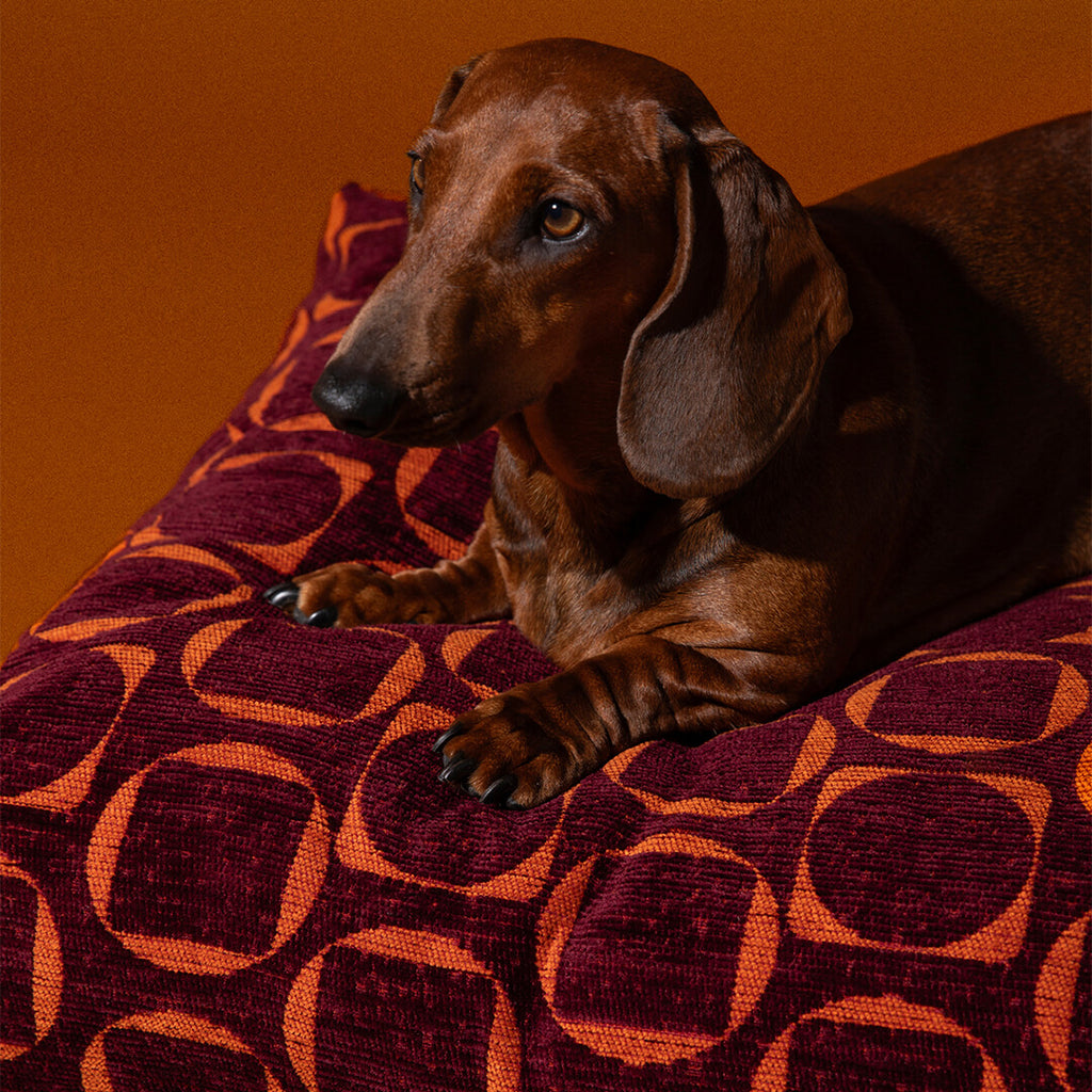 DOGGUO - Retro hondenmand - Bordeaux/Oranje