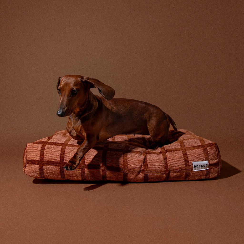 DOGGUO - Check hondenmand - Mokka/Bruin