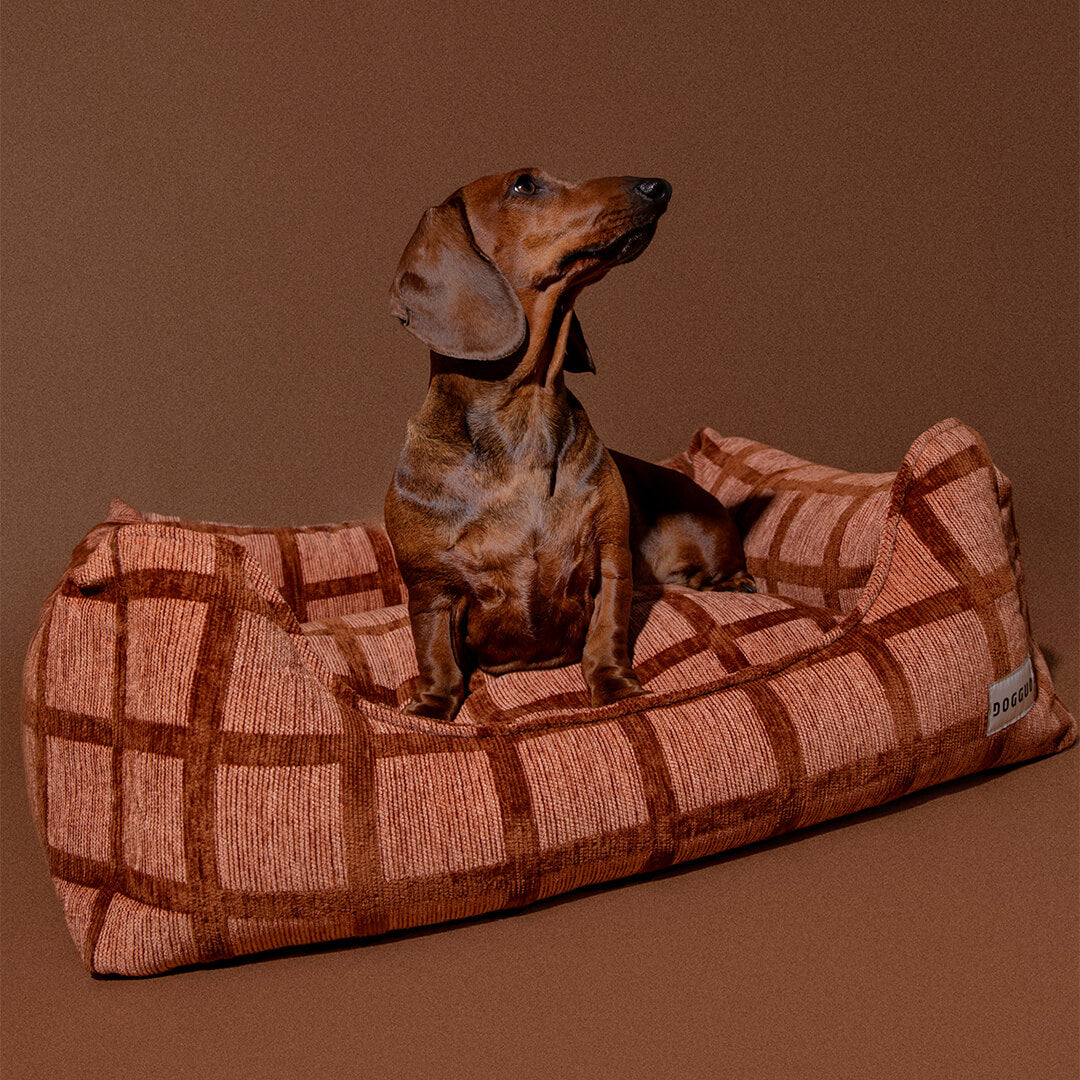 DOGGUO - Check sofa hondenmand - Mokka/Bruin