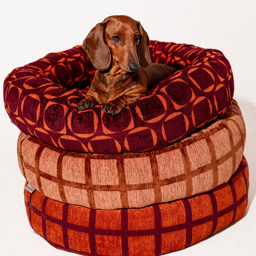 DOGGUO - Retro ronde hondenmand - Bordeaux/Oranje