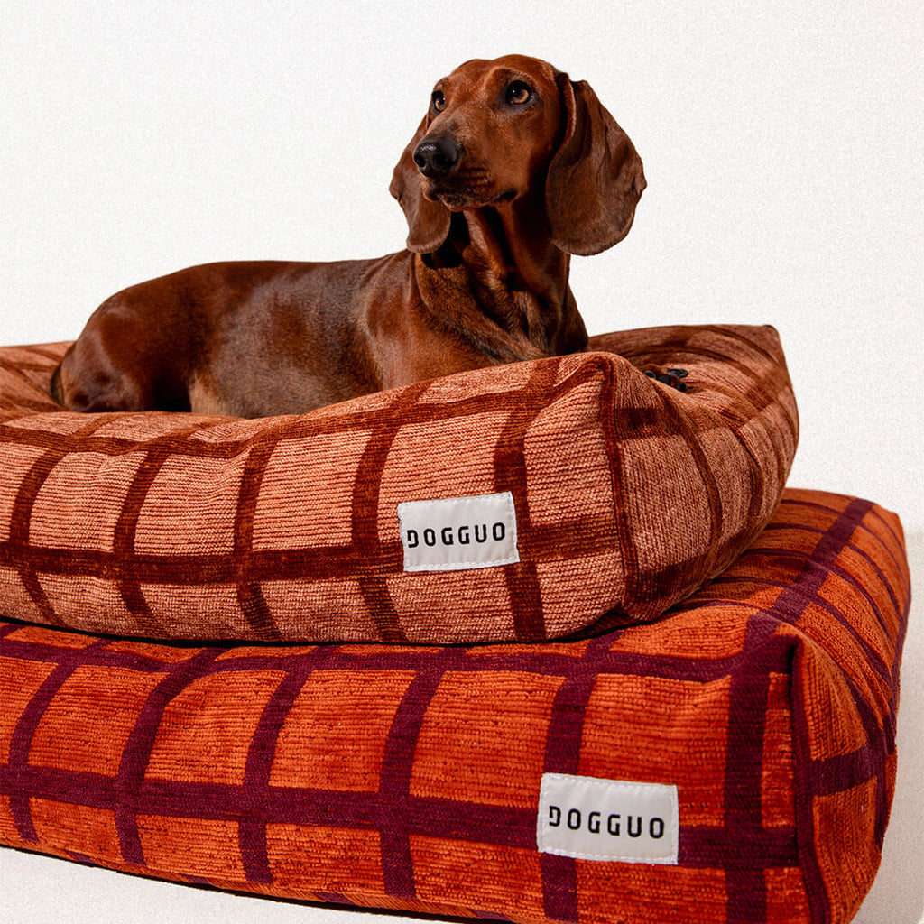 DOGGUO - Check hondenmand - Mokka/Bruin