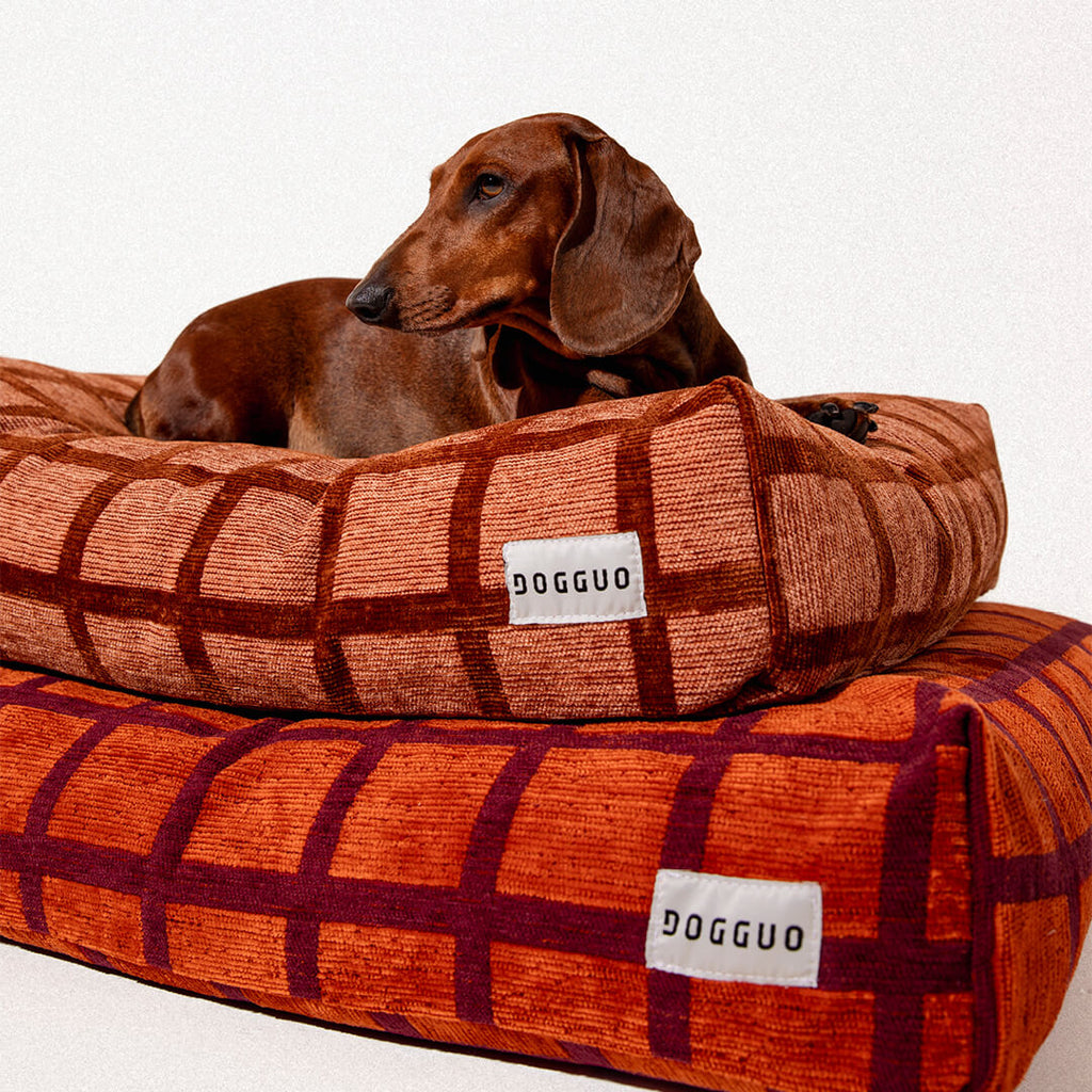 DOGGUO - Check hondenmand - Mokka/Bruin