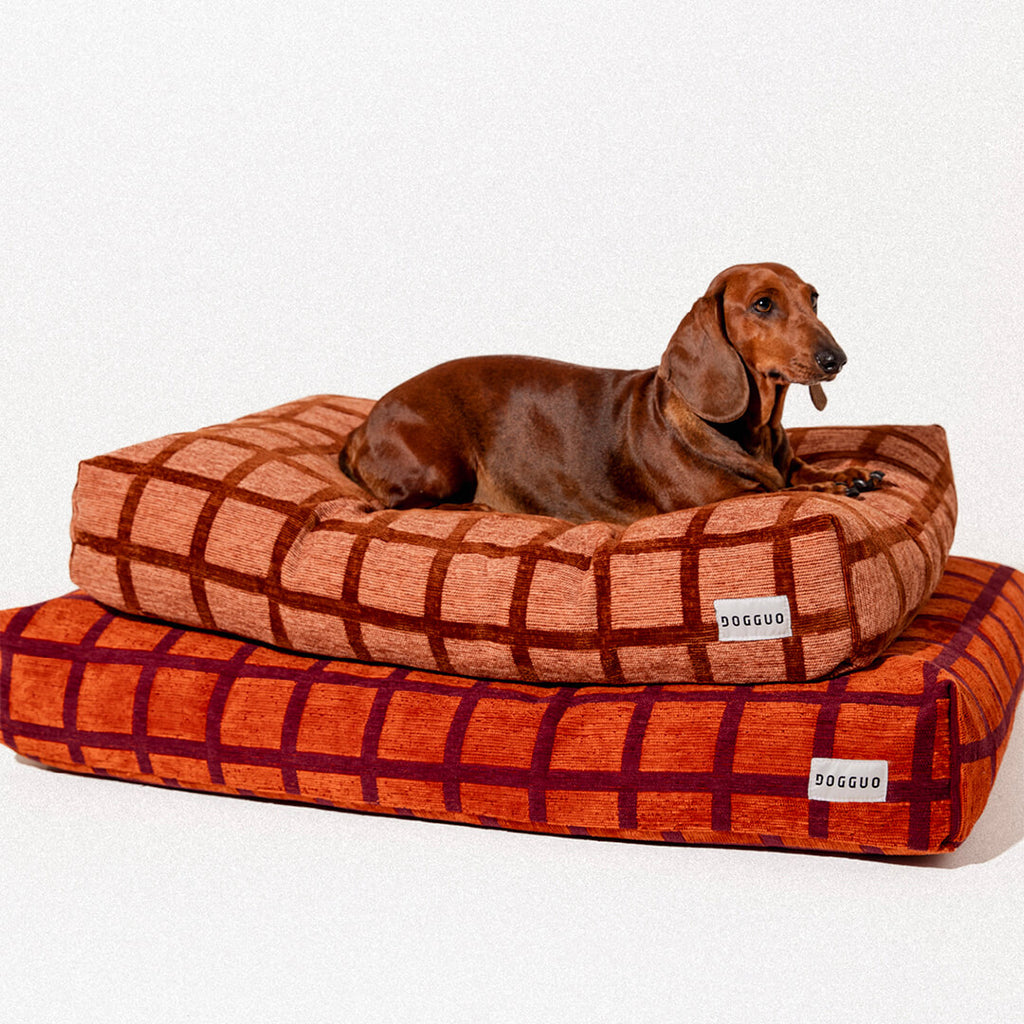 DOGGUO - Check hondenmand - Mokka/Bruin