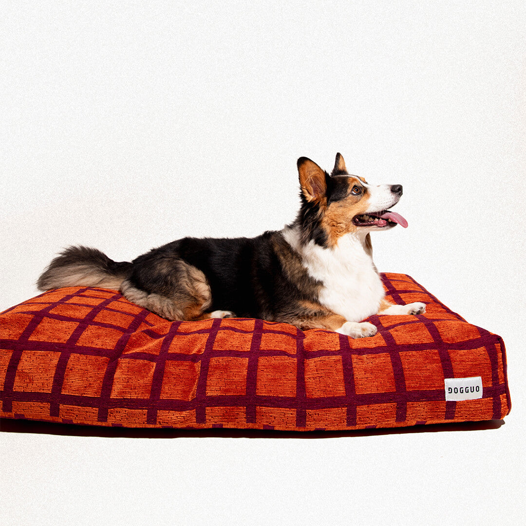 DOGGUO - Check hondenmand - Oranje/Bordeaux