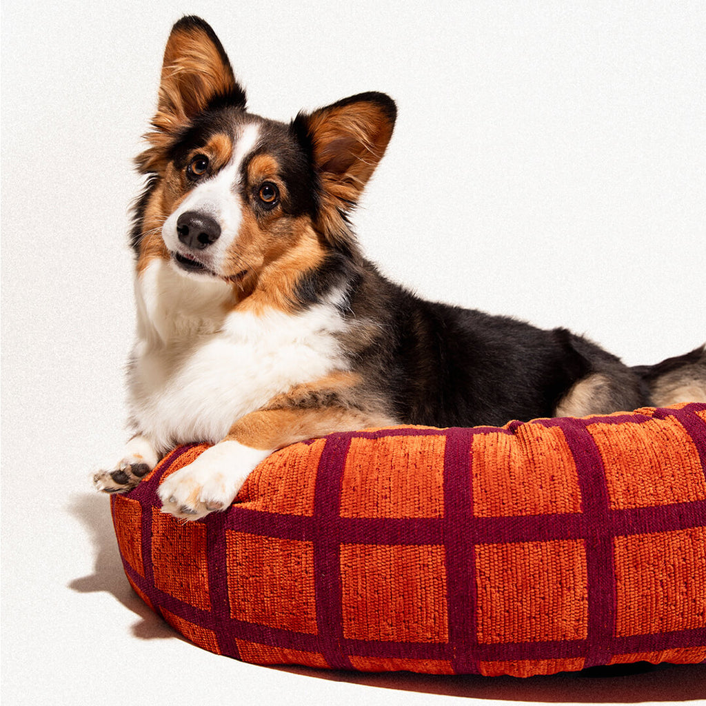 DOGGUO - Check ronde hondenmand - Oranje/Bordeaux