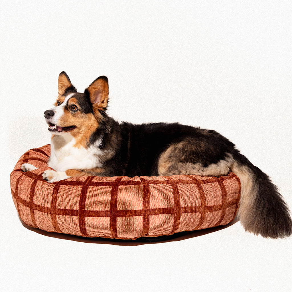 DOGGUO - Check ronde hondenmand - Mokka/Bruin