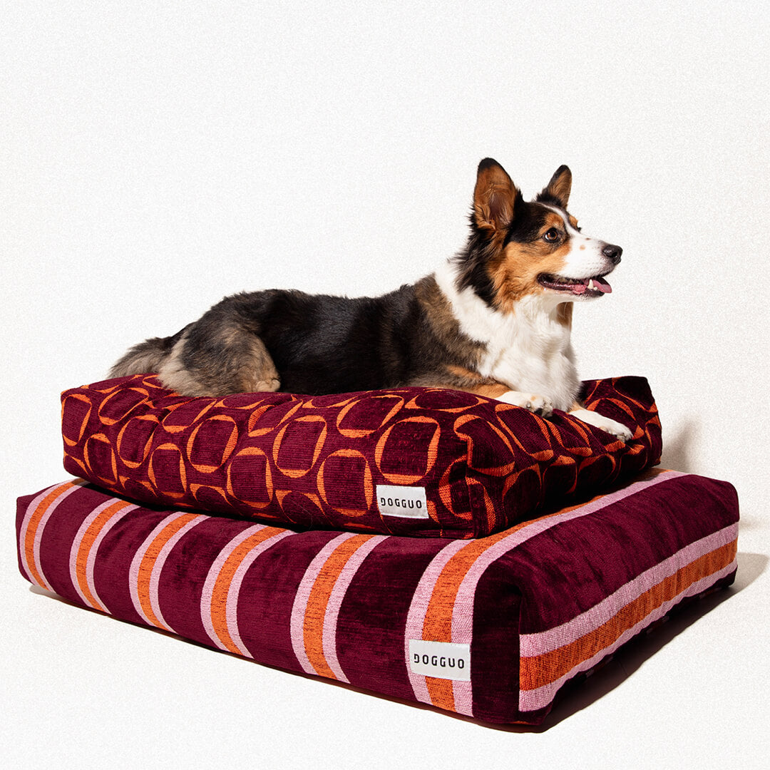 DOGGUO - Streep hondenmand - Bordeaux/Oranje/Roze