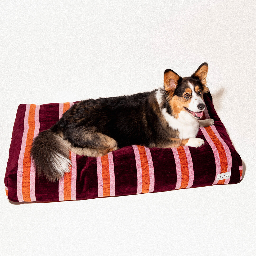 DOGGUO - Streep hondenmand - Bordeaux/Oranje/Roze