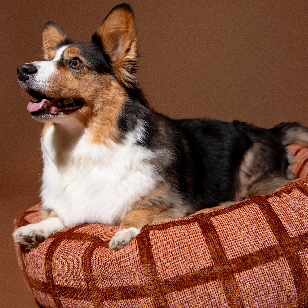 DOGGUO - Check ronde hondenmand - Mokka/Bruin