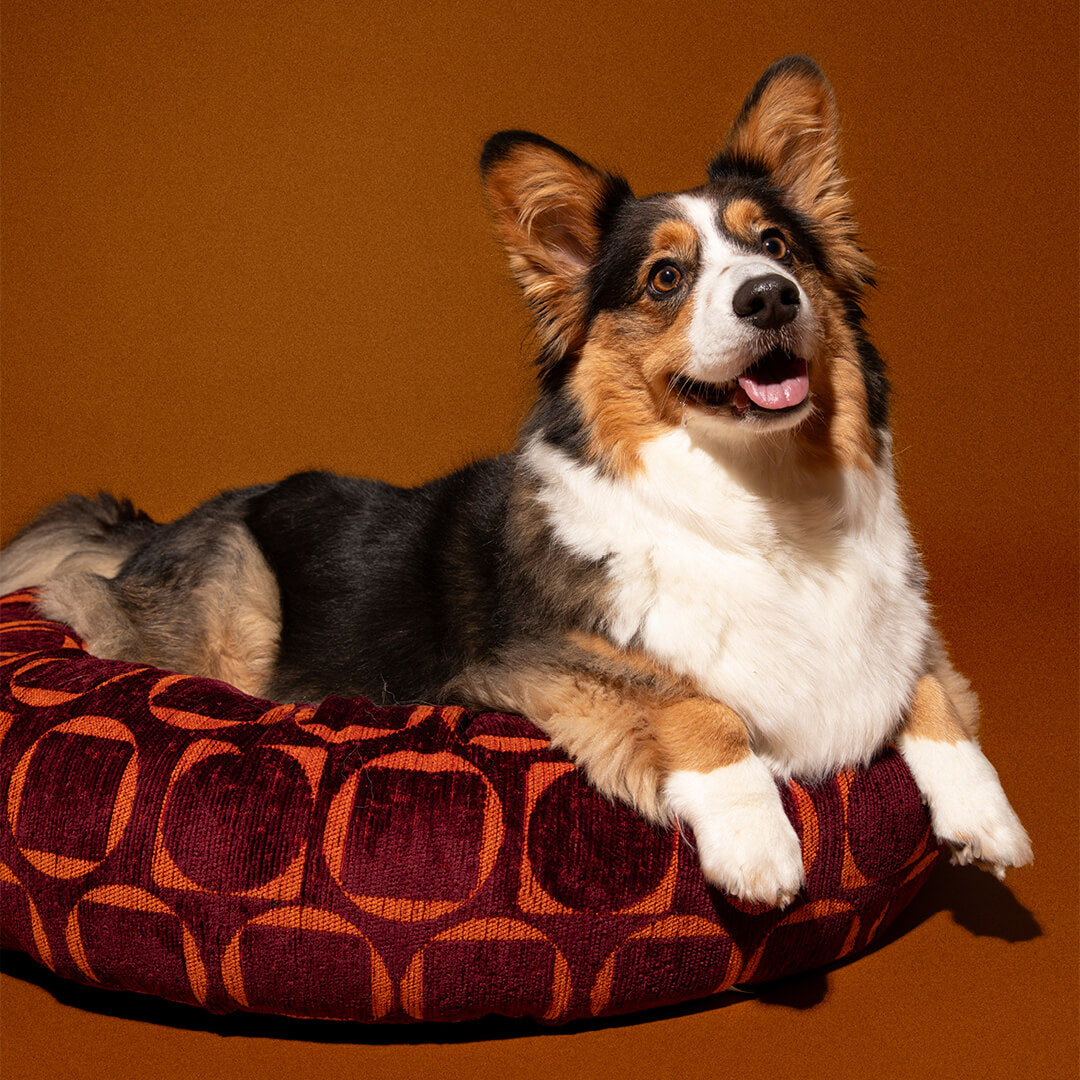 DOGGUO - Retro ronde hondenmand - Bordeaux/Oranje