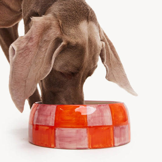 DOGGUO - Block Dogbowl - Pink / Oranje