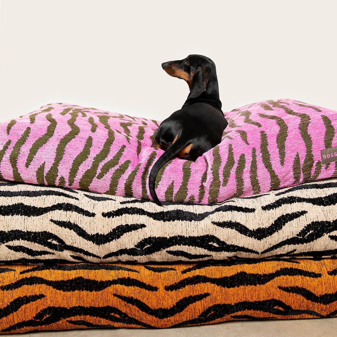 Zebra Dog Bed - Pink / Green